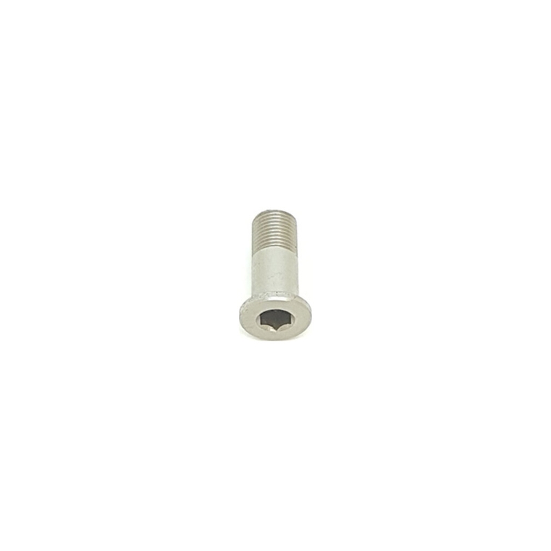 Tornillo de puntera 21mm 099.00175