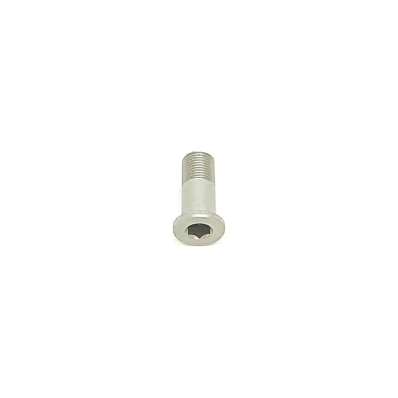 Tornillo de puntera 21mm 099.00175 - image