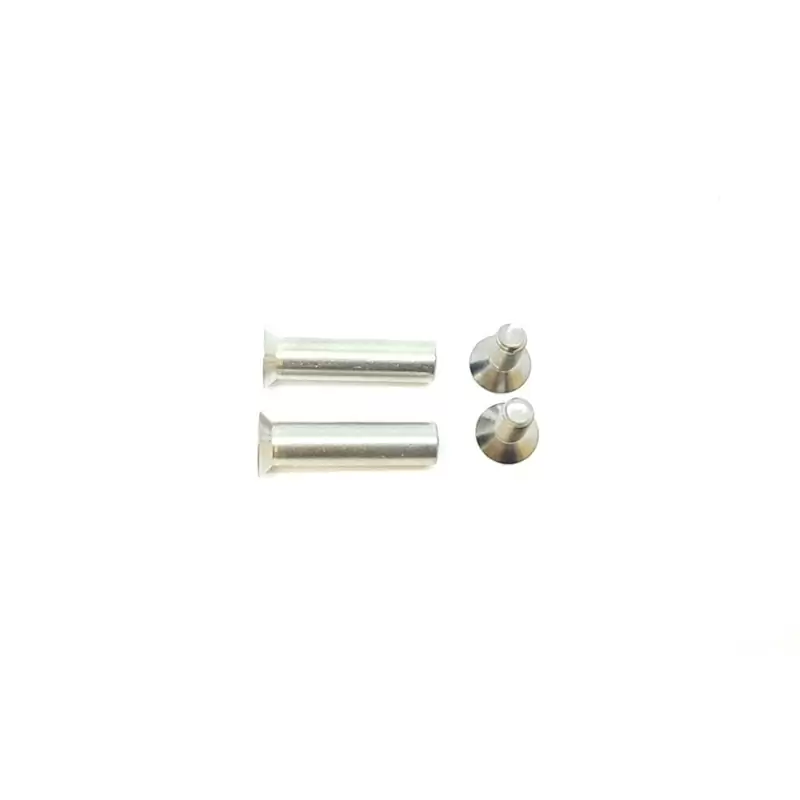 Shock Absorber Screw Kit n. 8 099.13116 - image