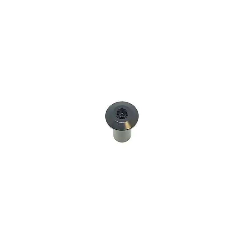 Axe de liaison D10x20 M6 099.14002 - image