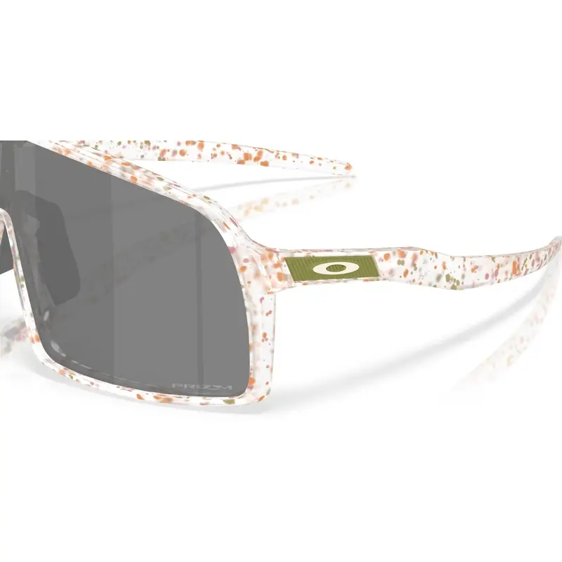 Occhiali Sutro Clear Terrazzo Prizm Black #3
