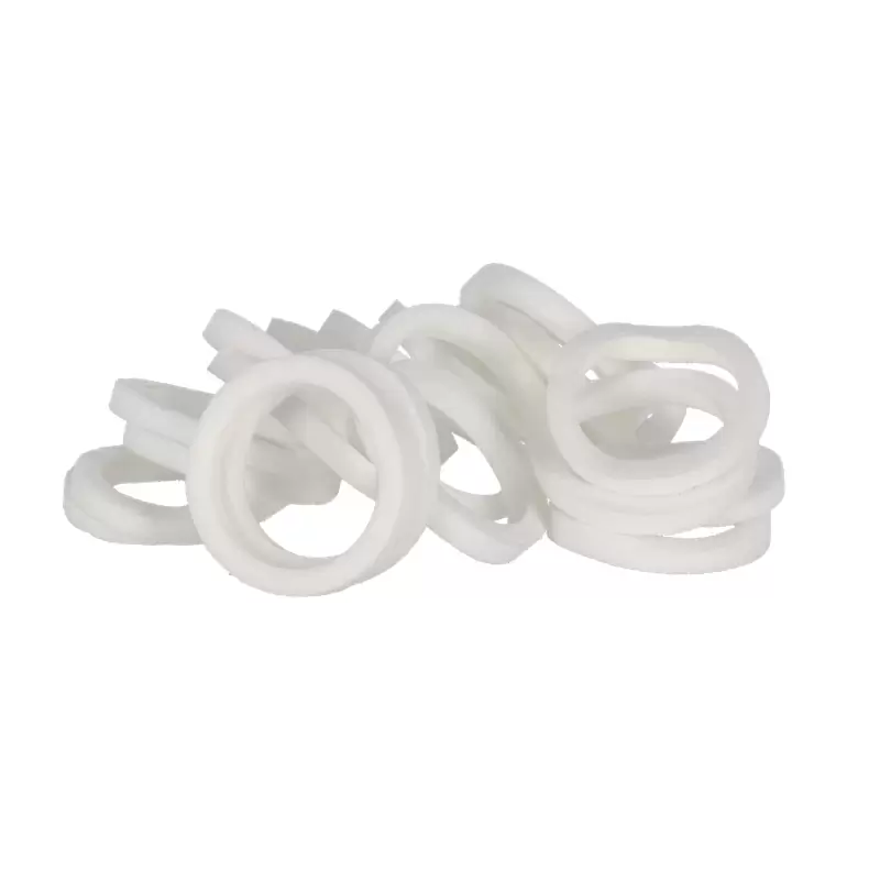 Pike/Lyrik B1/Yari/Boxxer/Domain DualCrown Dust Seal - image