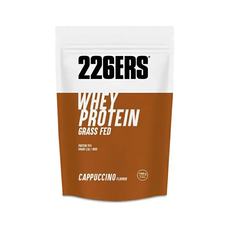 Shake protéiné WHEY PROTEIN 1 kg CAPPUCCINO - image