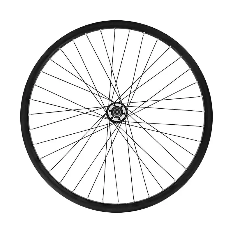 29'' MTB-Vorderrad, Aluminium-Scheibenbremsen, Nabe auf Kugeln #1