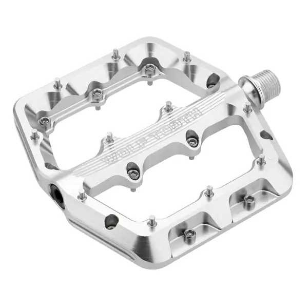 Coppia Pedali Flat Waveform Small Argento - image