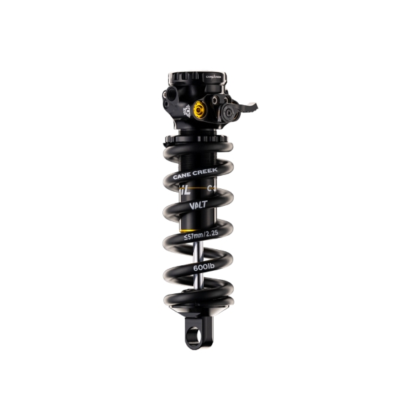 Ammortizzatore a molla DB COIL IL G2 TRUNNION 165/42.5 factory tune