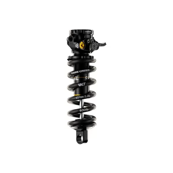 Ammortizzatore a molla DB COIL IL G2 TRUNNION 165/42.5 factory tune - image