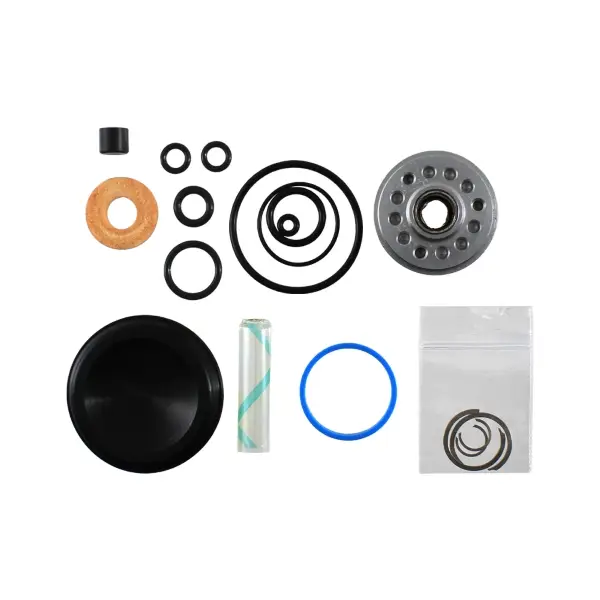 Kit Revisione Tenute Olio Ammortizzatori Air IL G2 - image