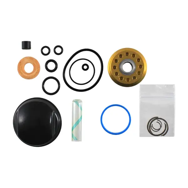 Kit Revisione Tenute Olio Ammortizzatori Coil IL G2 - image