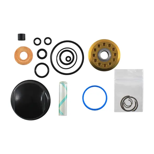 Kit Revisione Tenute Olio Ammortizzatori Coil IL G2 Trunnion - image