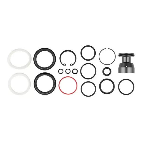 Domain R/Rc Federgabel-Service-Kit (2022+) B1+ #1