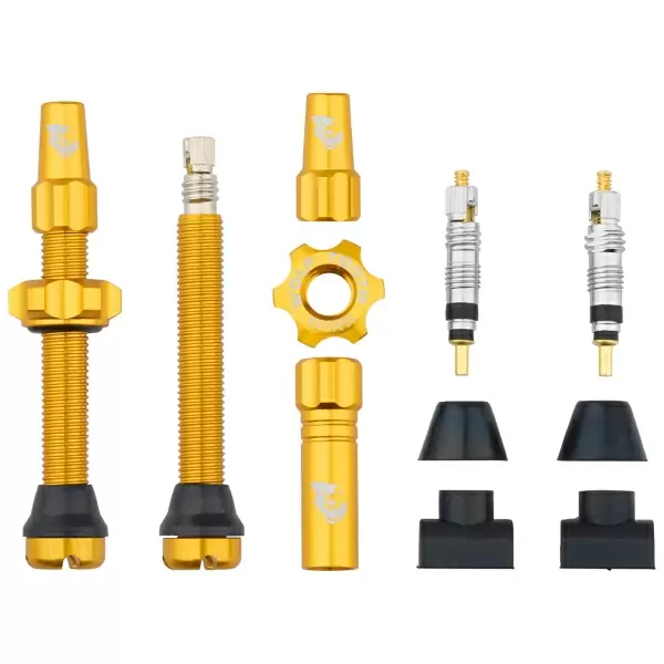 Pair of Tubeless Valves 44mm Gold - image