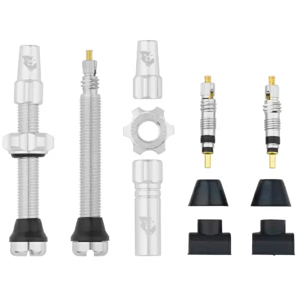 Paire de Valves Tubeless 44mm Argent - image
