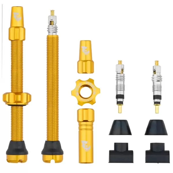 Pair of Tubeless Valves 60mm Gold - image