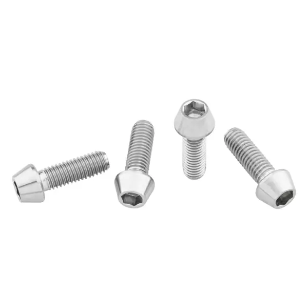 Kit Viti Portaborraccia In Titanio M5x0,8mmx15mm Argento 4pz - image