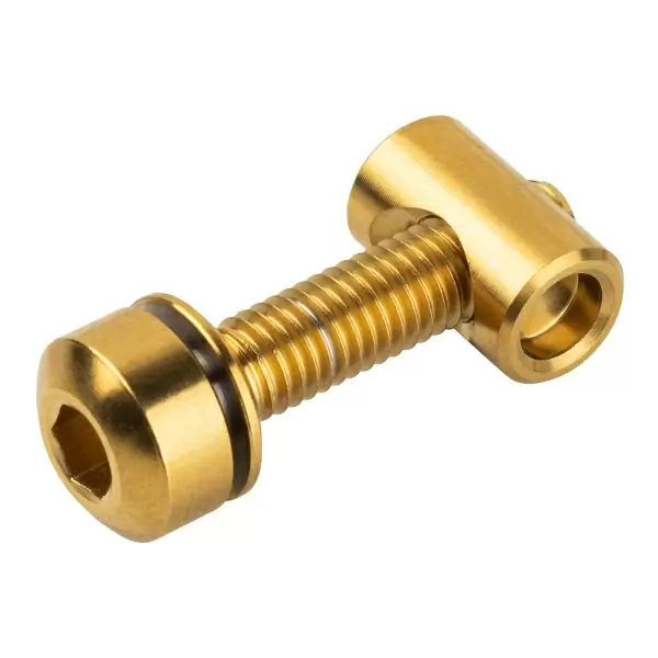 Titanschraube für Sattelstützenklemme Gold - image