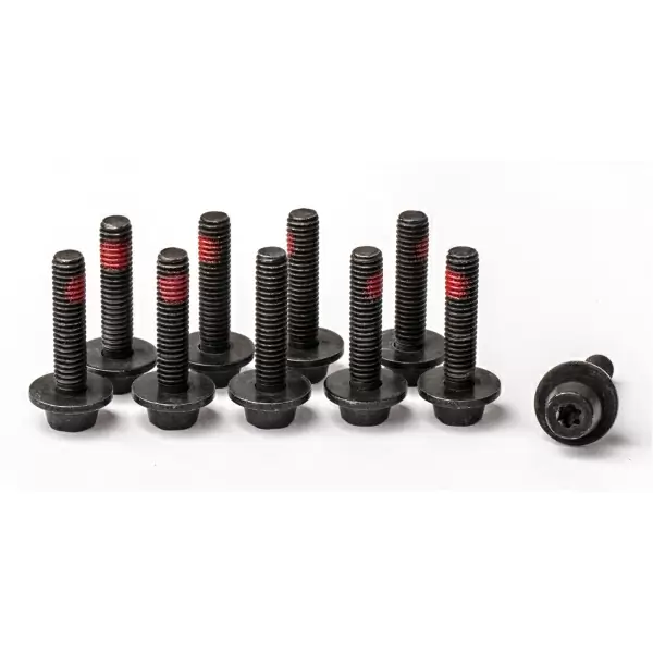 Vite Fissaggio Centrale per Adattatori Easy Mount M6 SW5 T25 10pz #1