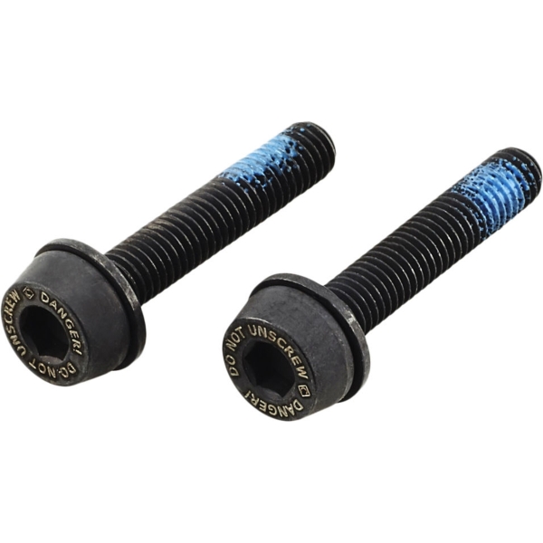 Coppia Viti per pinza flat mount posteriore 19 mm per telai con fodero da 10-14 mm