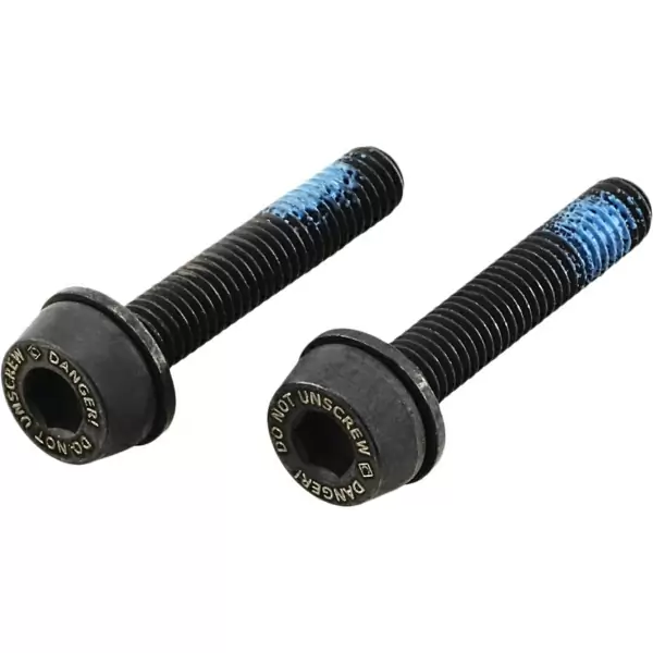 Coppia Viti per pinza flat mount posteriore 19 mm per telai con fodero da 10-14 mm - image