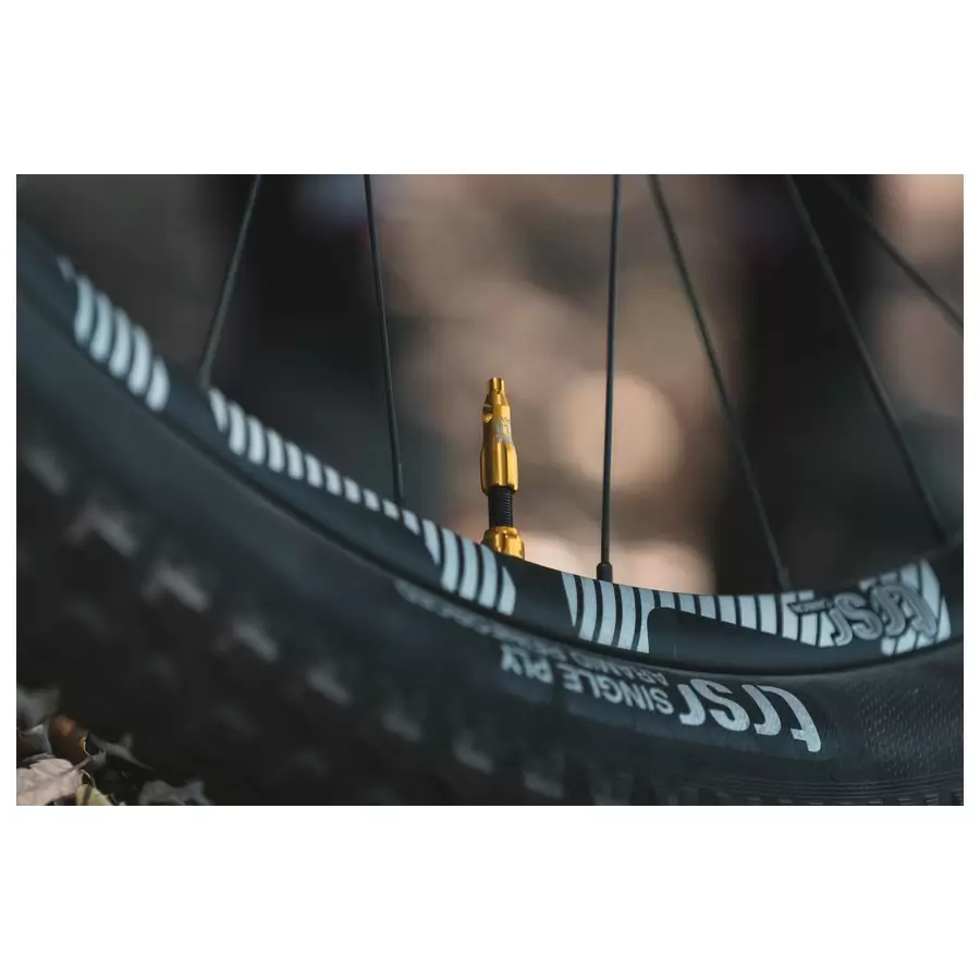 Valvole Tubeless Cnc 44Mm Rosso #1