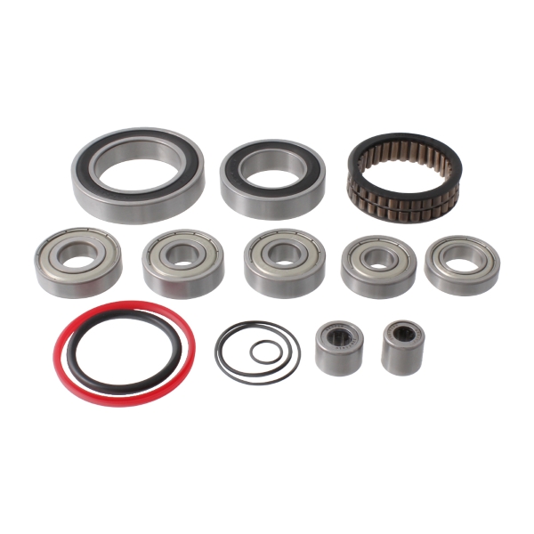 Kit Revisione Completo Motore Bosch Performance CX / Smart System Gen4