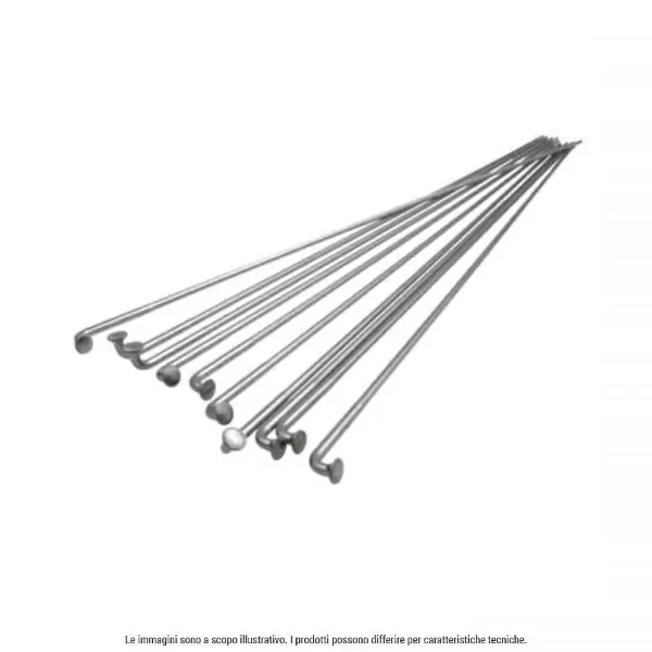 Raggio Zincato 296mm con Nipplo #1