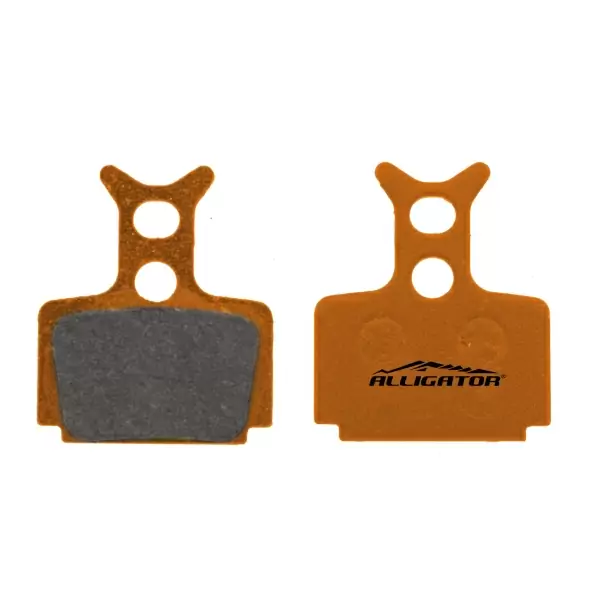 Coppia pastiglie organiche per freni a disco compatibili con Formula Mega - The one FR - R1 - RX #1