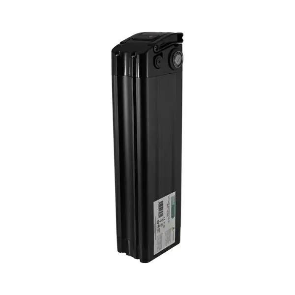 Batteria al litio verticale per e-bike 48V 175Ah - image