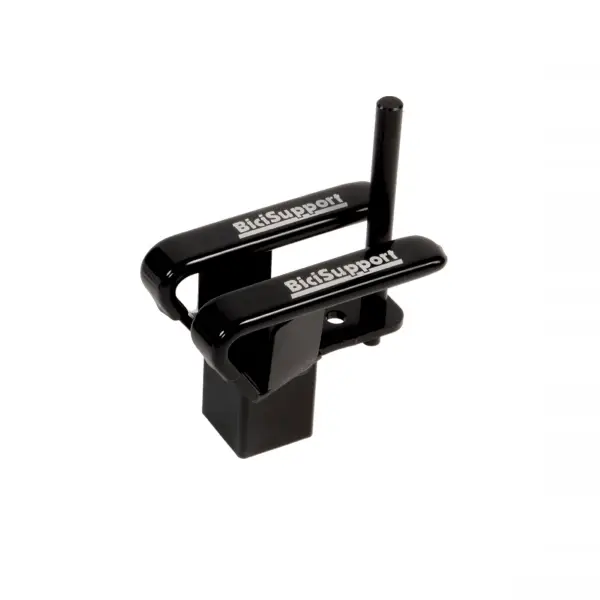 Supporto con perno per BS100/101 BSR25 #1