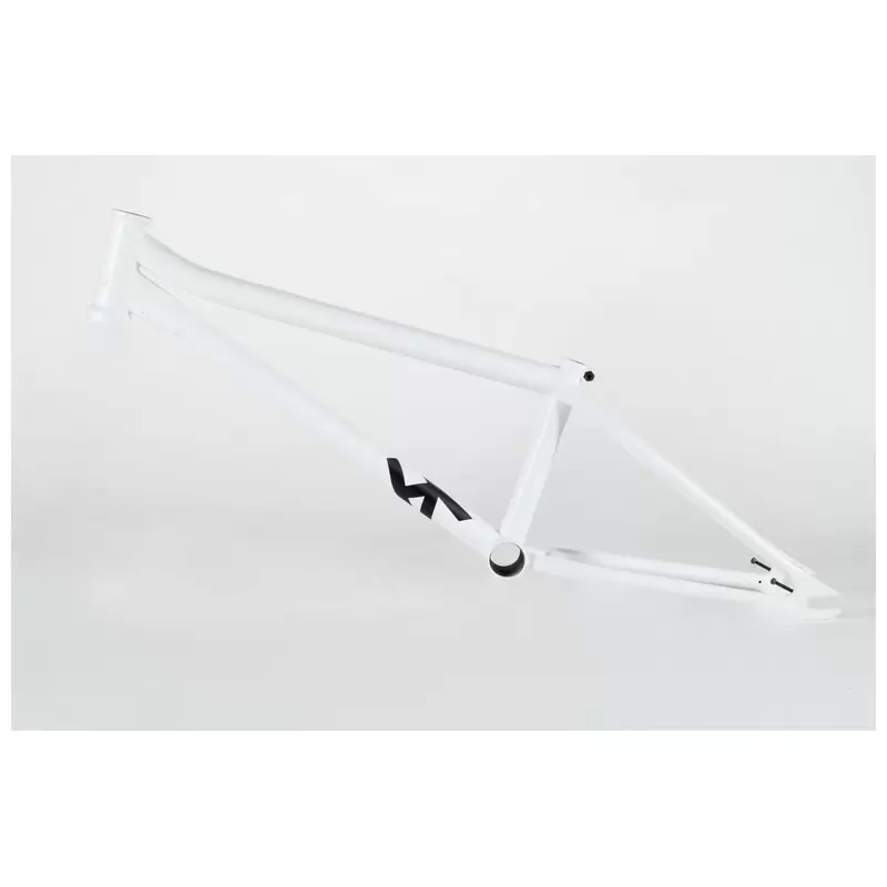 Ascend X BMX Frame Without Brake Kit White Size 19'' - image