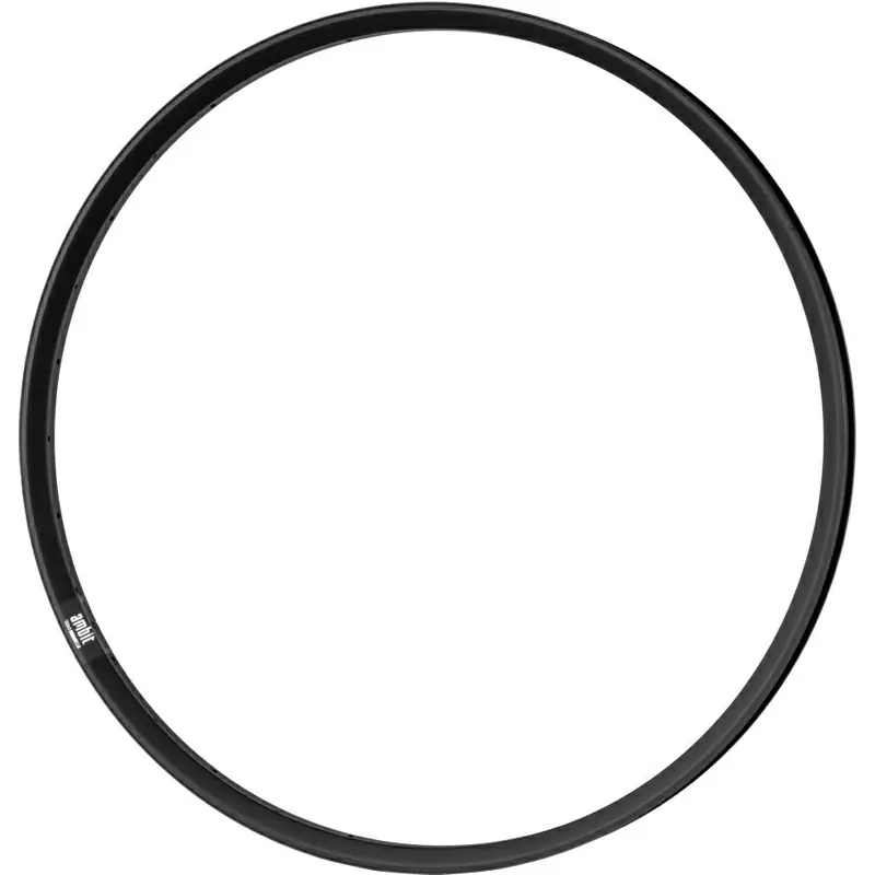 Círculo frontal 29 ’’ ’21 mm 28 agujeros negros #2