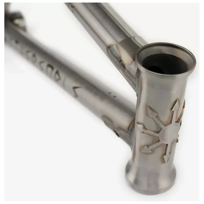 CHAOS Cadre BMX Avec Kit De Freins Gris Taille 21'' #6