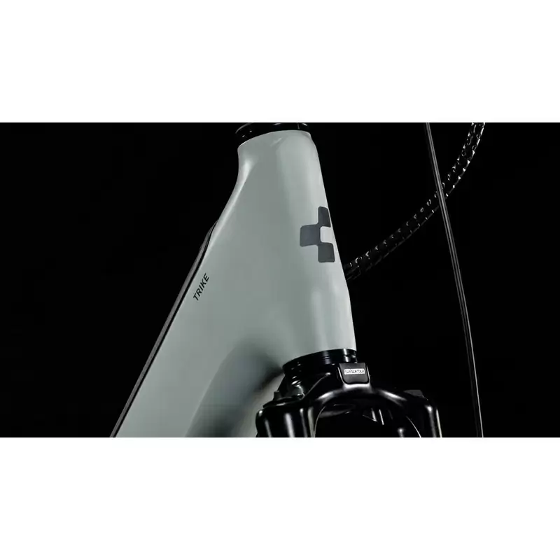 Triciclo Family Hybrid 1500 24/20'' 100mm 1v 1500Wh Bosch Cargo Line Gris 2024 #1