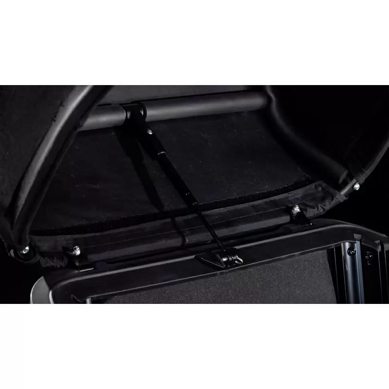 Triciclo Family Hybrid 1500 24/20'' 100mm 1v 1500Wh Bosch Cargo Line Azul 2024 #5