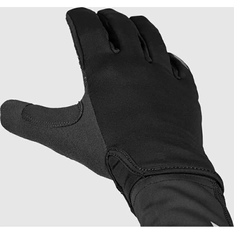 Gants Raptor RaceDay Noir Taille L #2