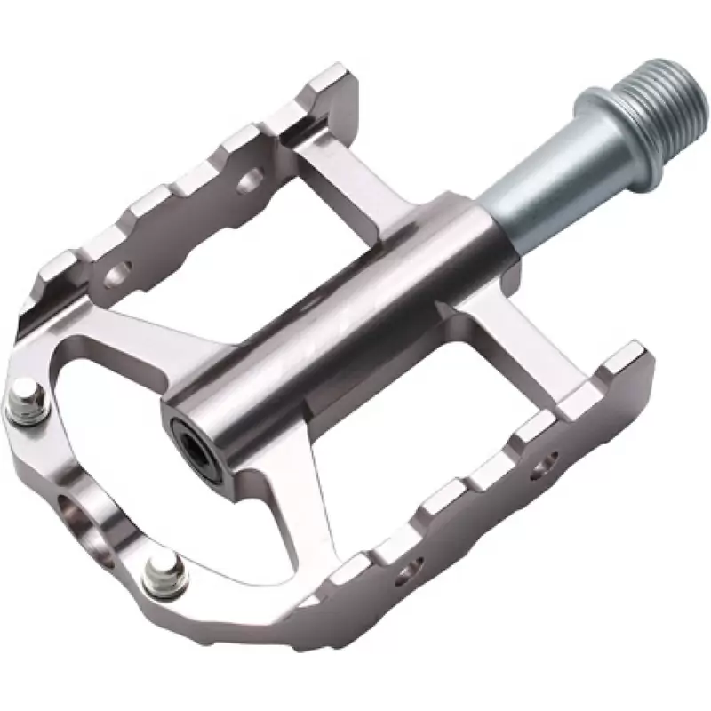 Par de pedal ars03 gris - image