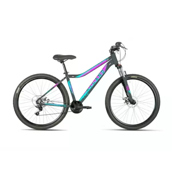 Active 24 MTB-Fahrrad 24'' 6V V-Brake Stahlgrau Größe 24 - image