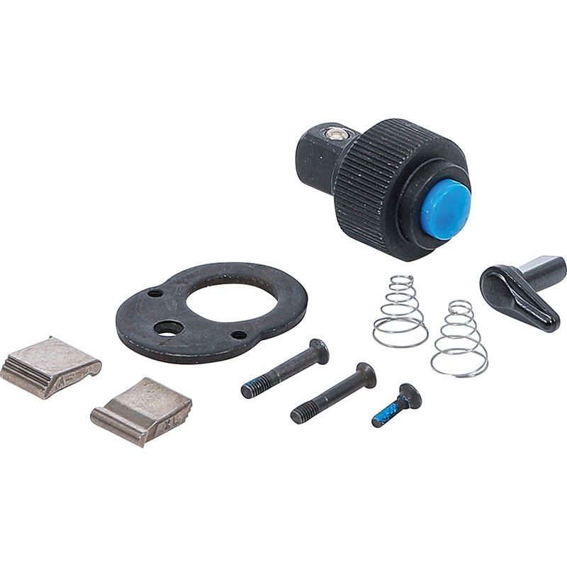 Conjunto de reparo de catraca para Bgs 303 - Código BGS303-1