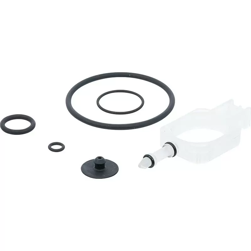 Set of 6 Pcs Spare Parts and Viton Gaskets for Bgs 6770 and Bgs 6 - Code BGS6770-1 - image