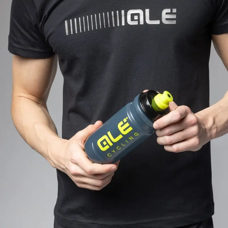 500ml Flasche Grau - image