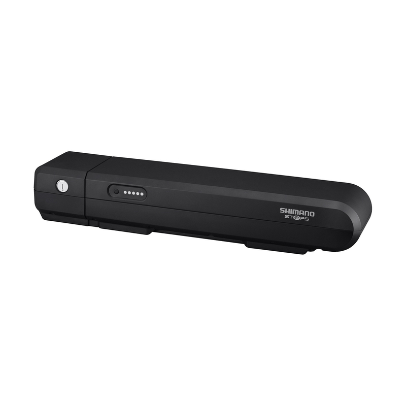 Batería BT-E6000-A 418 Wh Portaobjetos trasero de primera generación