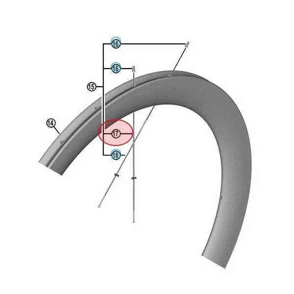Raggio Destro 278,5mm - image