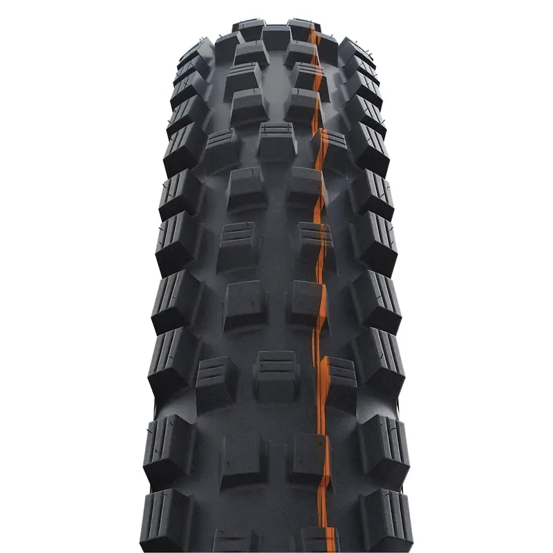 Copertone Magic Mary 29x2.60 EVO SnakeSkin Super Gravity Addix Soft Tubeless Ready Nero #1