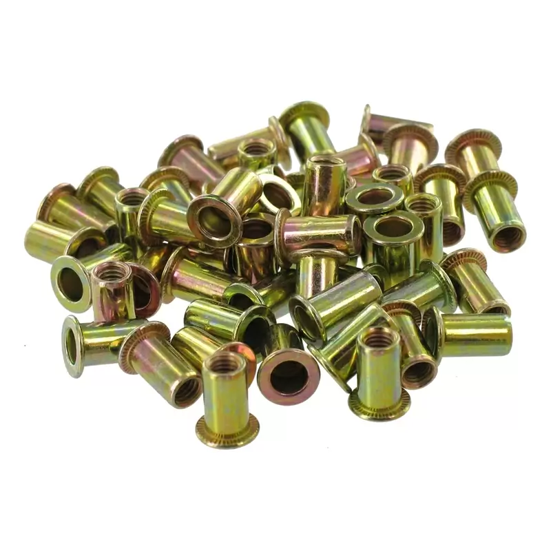 Bag 50 replacement M5 rivets 50pz for DV-17300 #1
