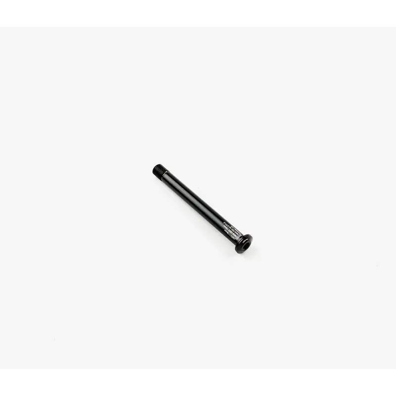 Front Through Axle 12x100mm 119mm M12x2P1.0 - image