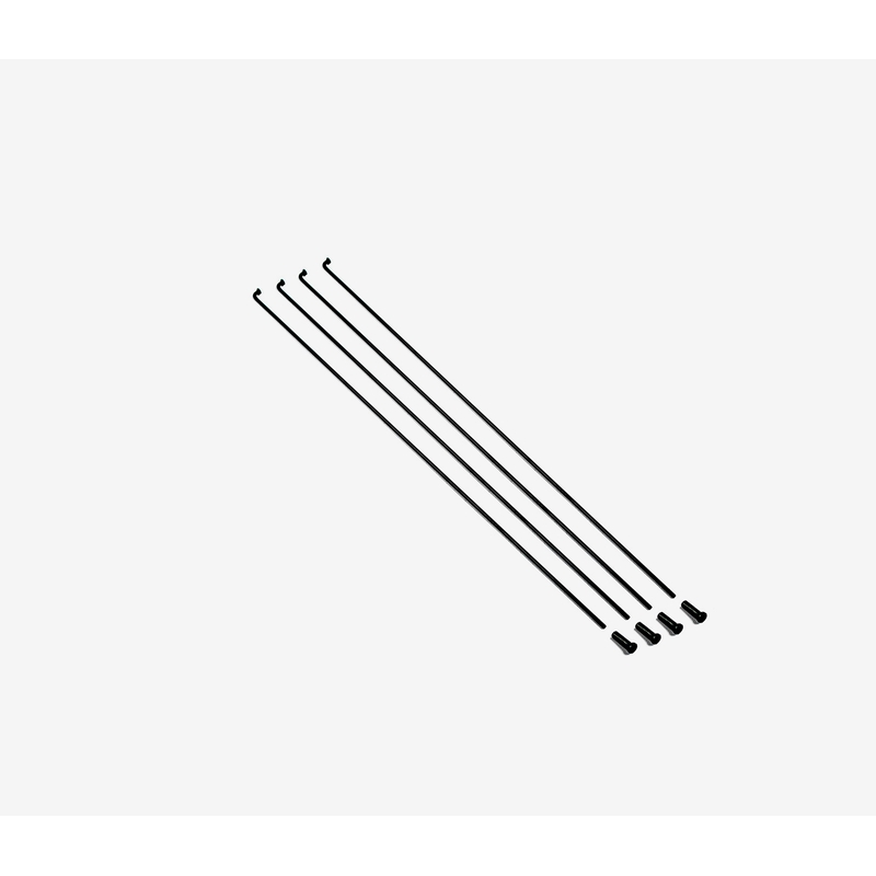 Kit Raggi e Nippli Posteriori RaceFace AR30/MT410 Muscolare 290/290