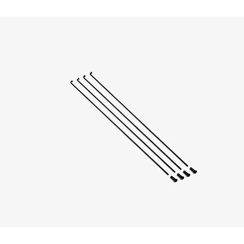 Kit de Raios e Nipples Traseiros RaceFace AR30/MT410 Muscular 290/290 - image