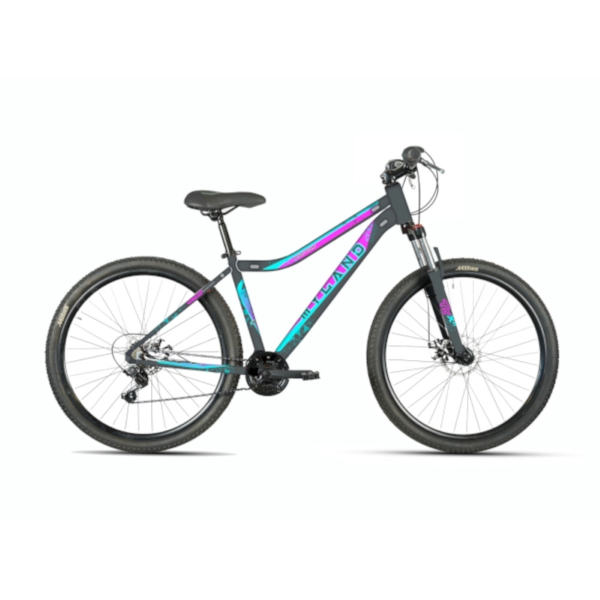 Active 26 Bici Mtb 26'' 6V V-Brake Acciaio Grigio Taglia 26