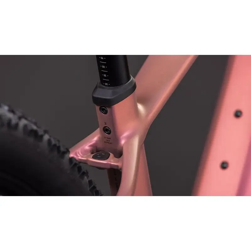 Réaction hybride slx 29 '' 12V 120 mm 800wh Bosch Performance Line CX Shiftblush'art 2026 Taille m #2