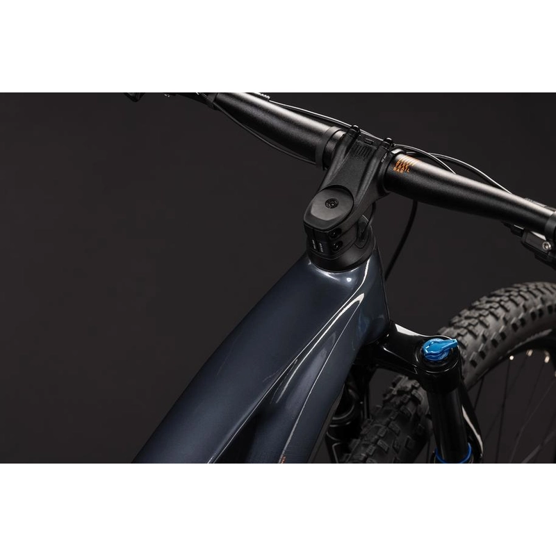 Reaction Hybrid ONE 29'' 12v 120mm 720Wh Bosch Perf Line CX Oolonggrey'n'Reflex 2027 Size L #1